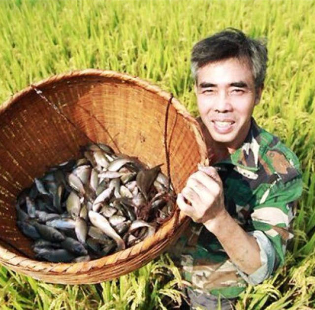 走!9月8日到南溪赶闹子恰禾花鱼克!从郴州开车1个小时就到了