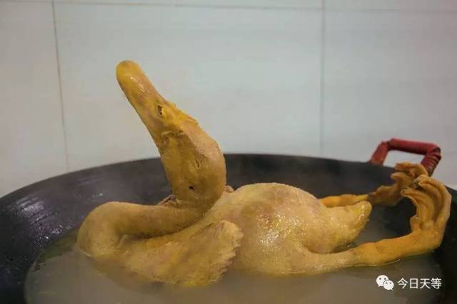 【民俗】天等人过"鬼节"为什么要杀鸭?神秘哦