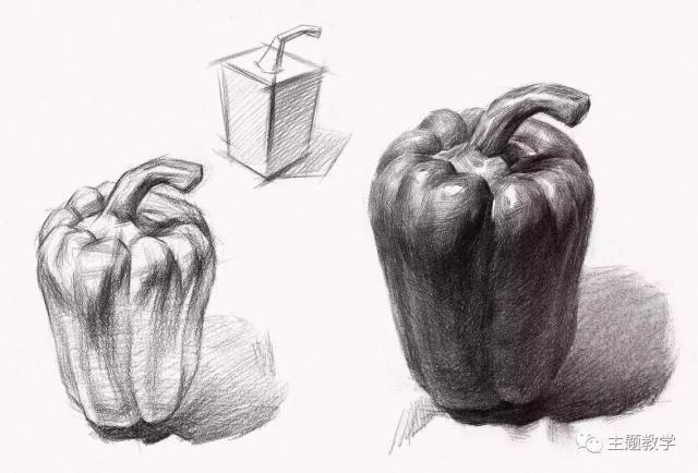 素描静物 | 全方位剖析蔬菜界的扛把子/菜椒