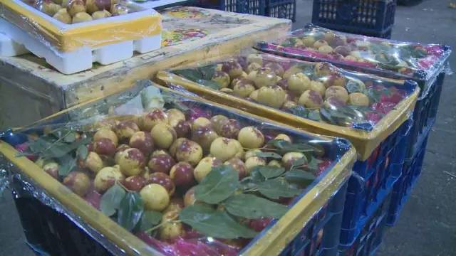 大荔冬枣在杭州市场销售火热,成为水果市场主