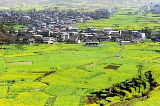 地址:盤縣烏蒙鎮與坪地鄉兩個彝族鄉鎮境內 郎岱農旅景區位於六枝特區