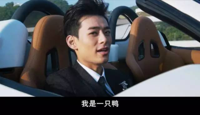 星级鸭王:香喷喷的"乳"鸭,比小鲜肉还要"酥"?_手机搜狐网