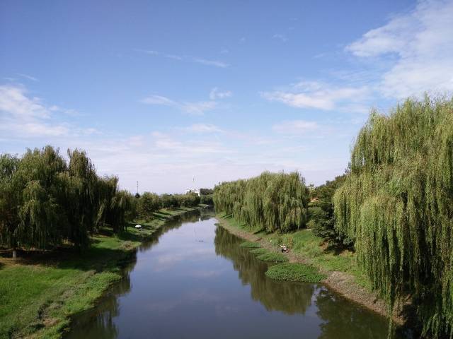 师大故事 | 卫水泱泱,卫桥情长