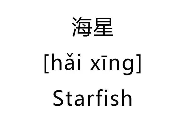 海星的写法,拼音,读法
