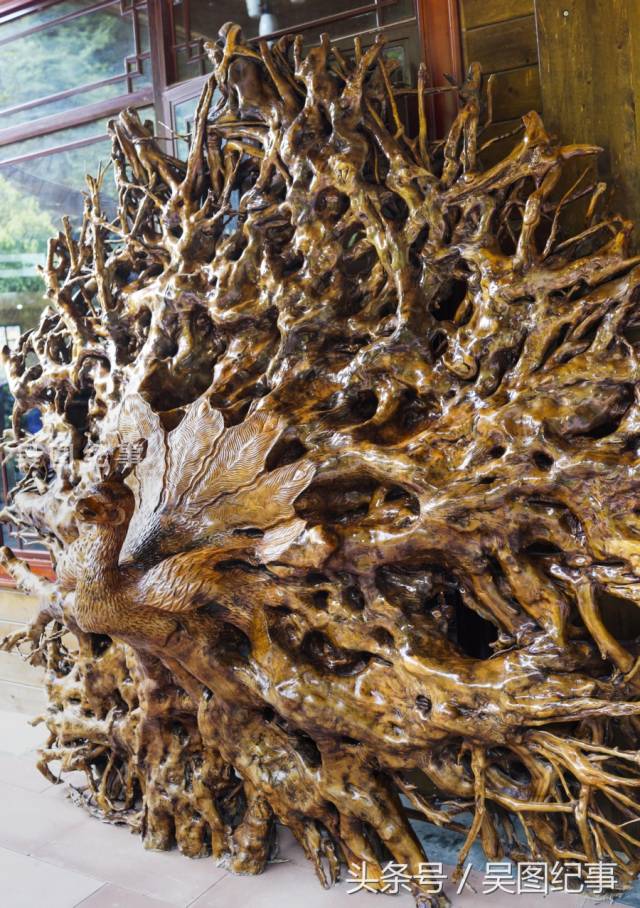 现在人们发现这个升值空间,将树加工成各种各样的艺术,这些淘汰的树根