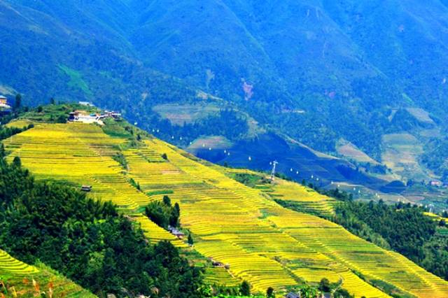 平安寨九龙五虎观景台