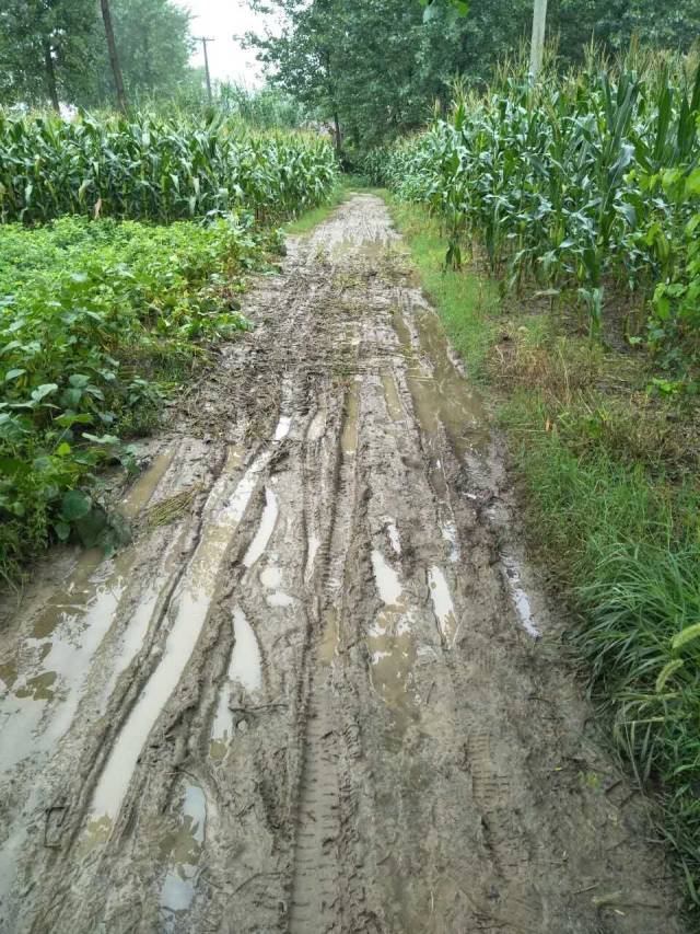涟水的烂泥路,真为通过的孩子捏把汗!