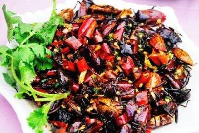 锦屏美食:油炸打屁虫