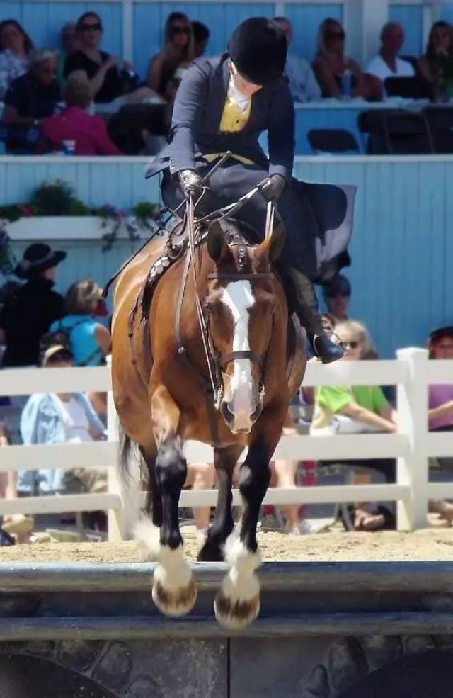 那你一定没见过欧洲贵族骑手骑乘侧鞍跨越障碍.