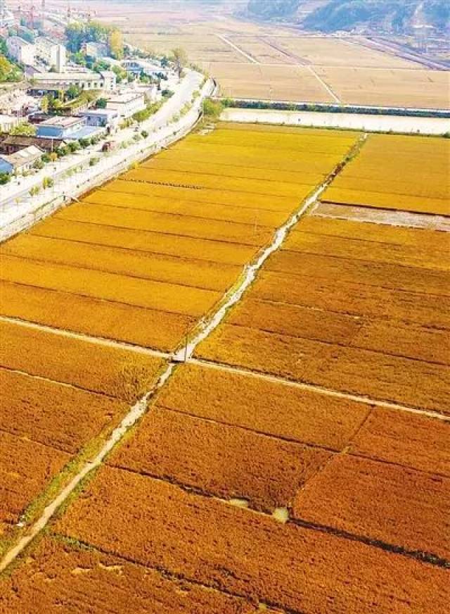 如今的南泥湾,再也不是旧模样!产融联创助其再造"陕北好江南"