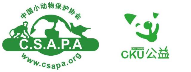 团队筹款满1000元,即可获得公益圆形徽章五枚 中国小动物保护协会纸质