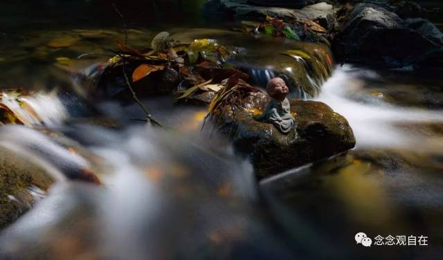 到底业障缠缚是什么意思呢?