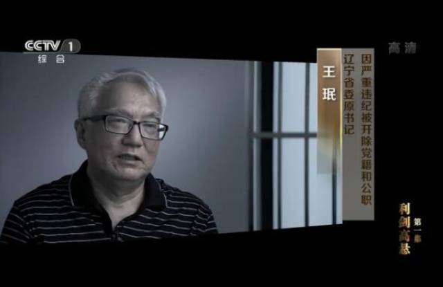中纪委巡视专题片首播 披露王珉等多名“老虎”落马细节_手机搜狐网