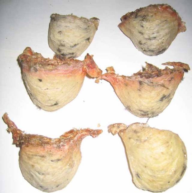 燕窝如何分类?孕妇食用燕窝有哪些禁忌呢?