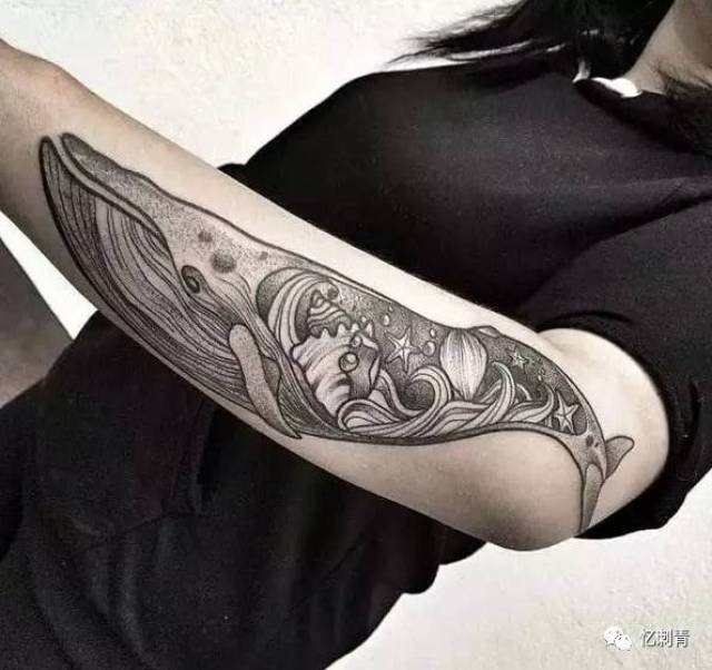 鲸鱼纹身:选择一种温和的生活方式