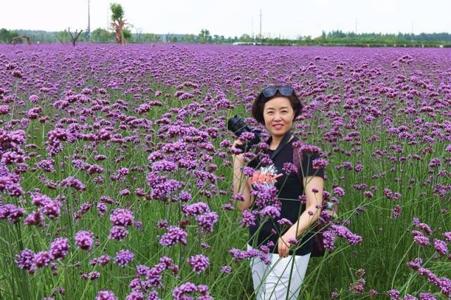 苦荞酒杯”禾泉作家村村民美文展示（禾泉第二十六期）_手机搜狐网