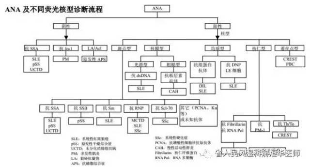 【大医精诚】话风湿-最全抗核抗体科普