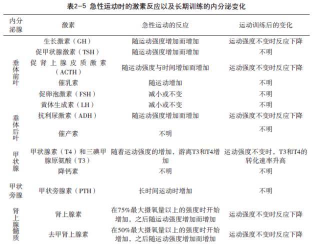【基础理论】内分泌腺及其激素概述