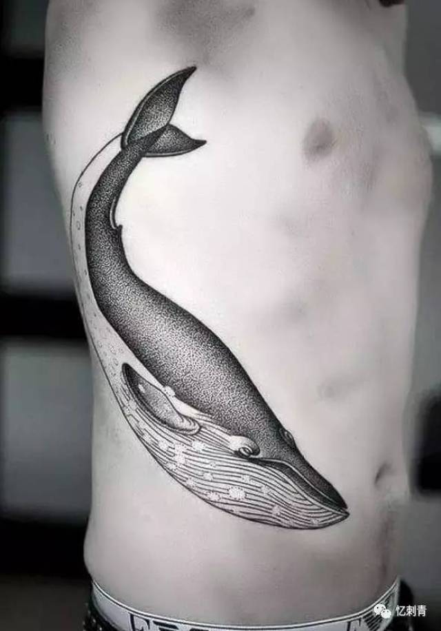 鲸鱼纹身:选择一种温和的生活方式