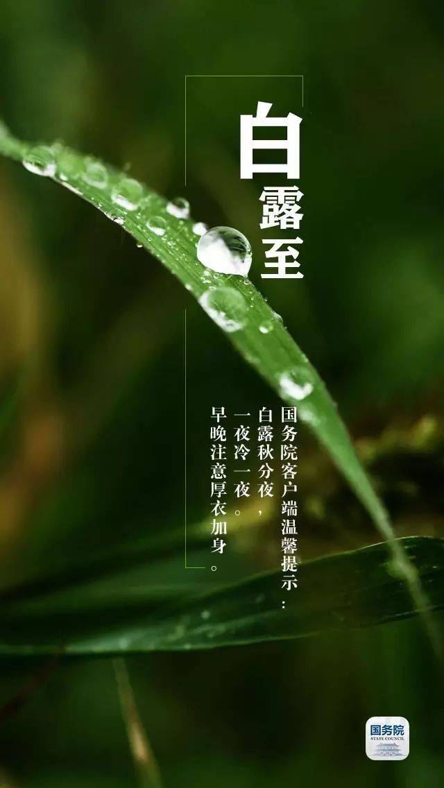 【时令节气】今日白露,"露从今日白",全年温差最大的节气来了