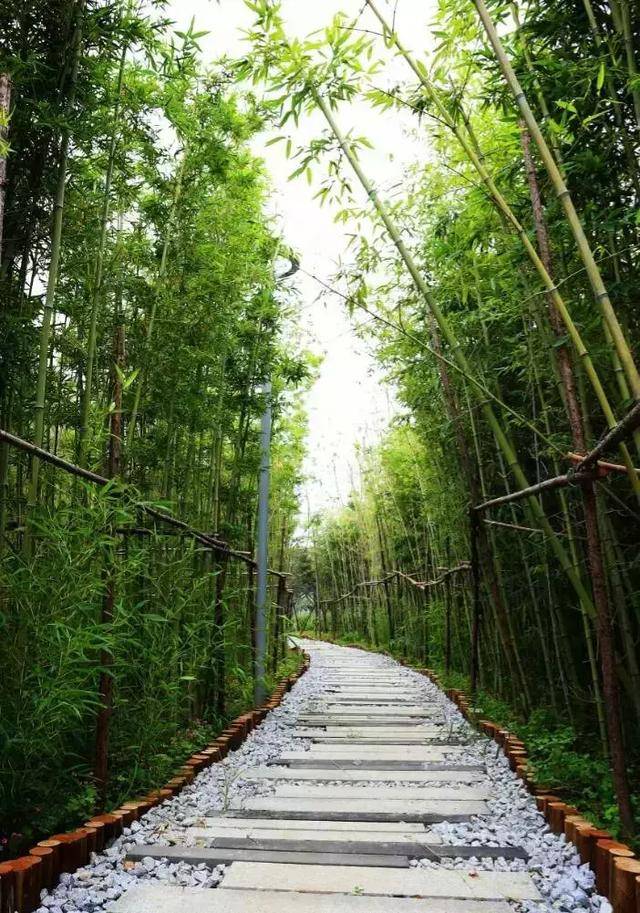 9個關鍵詞帶你進入雙鶴湖中央公園的奇妙世界