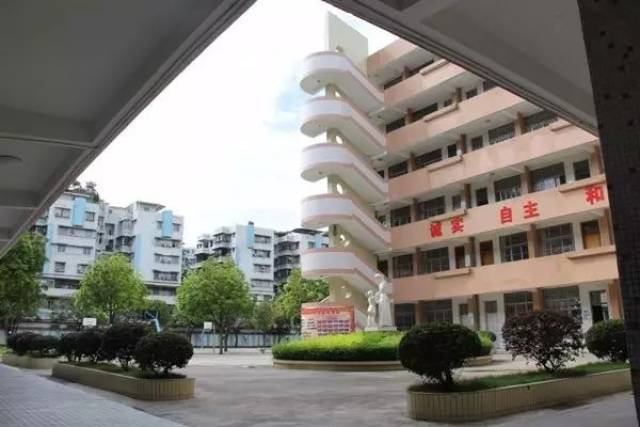 新会小学大盘点!你读的是哪一所?