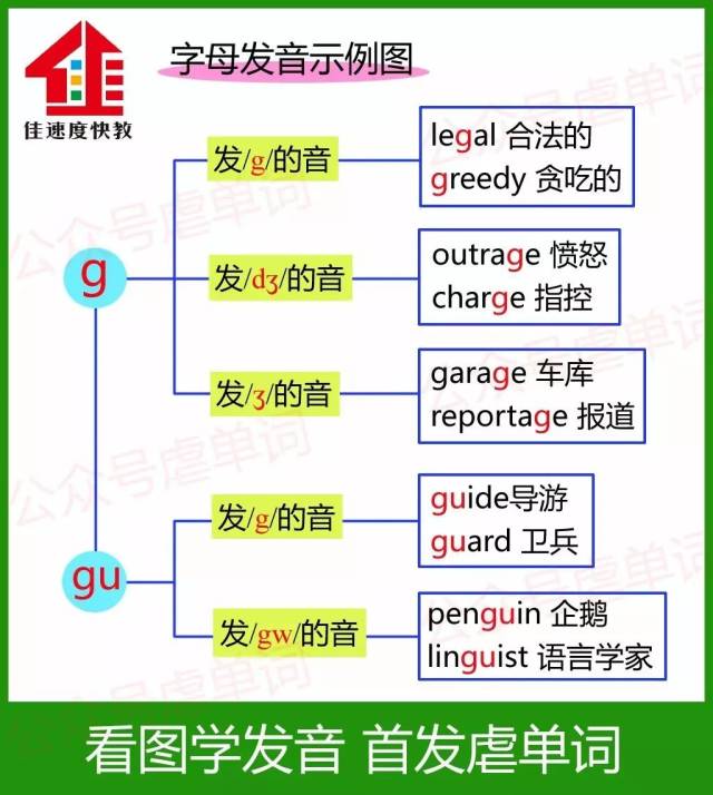 gu的发音,gu的音标怎么读,gu四个声调的字怎么读_大山谷图库