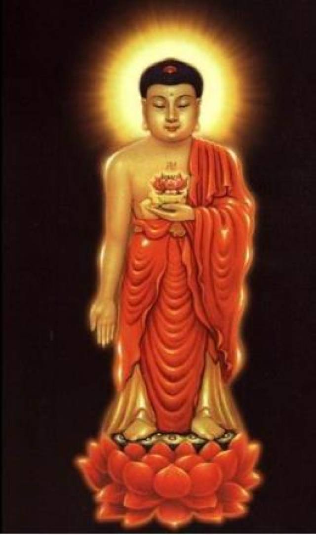 今日教师节,顶礼本土释迦牟尼佛和净土阿弥陀佛,佛陀我们的导师