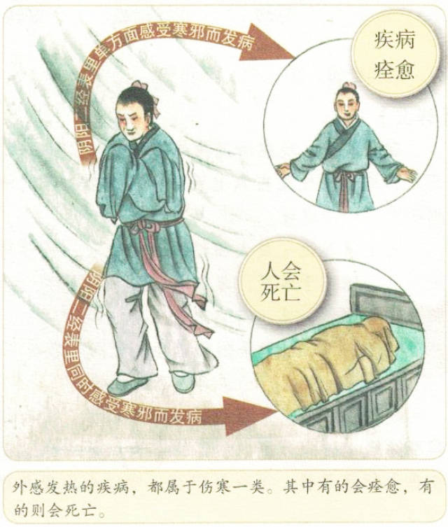 分界线:如果是三阴三阳都感受病邪,造成营卫不能运