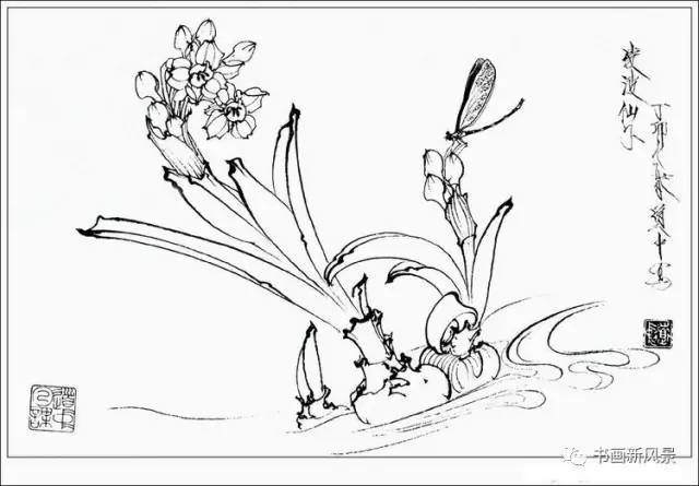 工笔花卉草虫白描精品30幅！