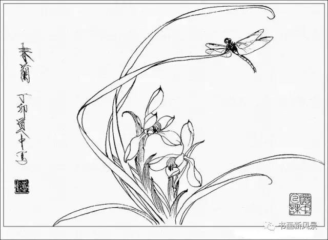 白石 肉筆 花卉圖4 白鳥花｜石木花｜SEKIBOKKA