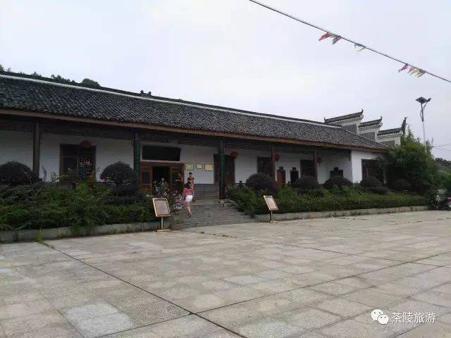 秋日里的茶陵万樟园林 不一样的风情