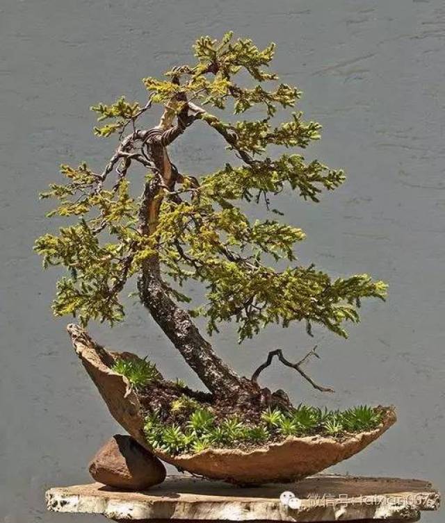 残破之美