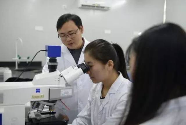 教师节特别策划:我是一名普通的高校教师