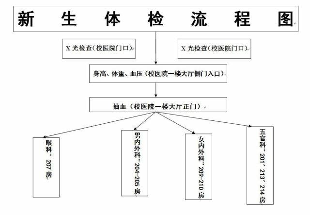 新生体检流程表