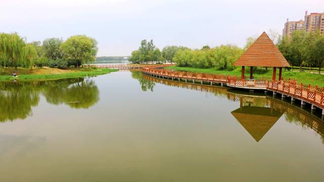 多情原创文字:秋游龙泉湖