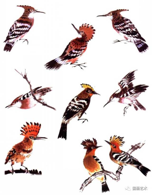 图文教程:画鸟百态
