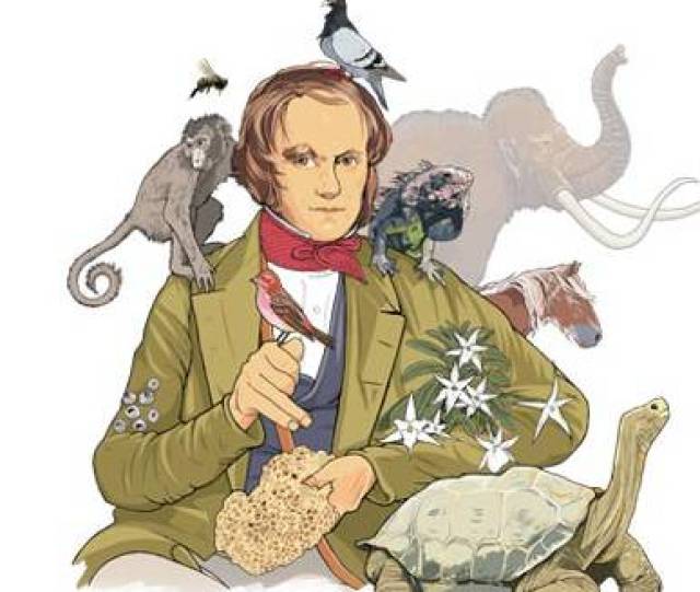 《达尔文与他的"进化论"》教学设计