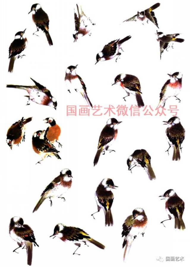 图文教程:画鸟百态