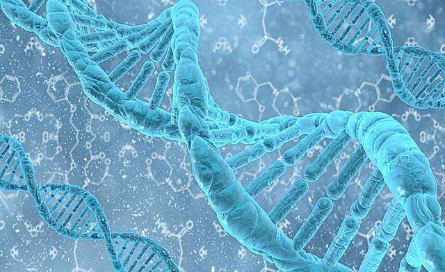 有头大,眼距增宽,马鞍鼻,前额突出,两颊突出,其典型的表现是臀状头,长