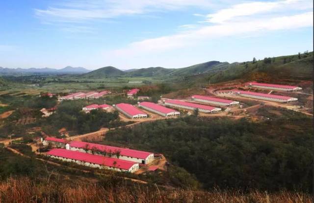 大午生物科技公司(河北大午宠物食品科技有限公司)