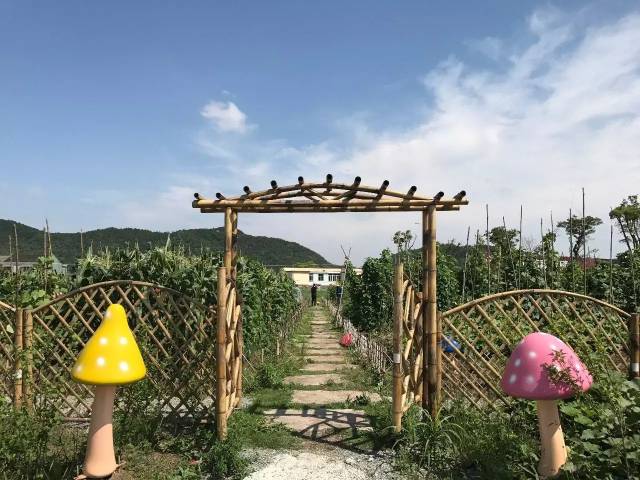 小镇自然课堂开课啦 | 共享农场第三期招募正式启动!