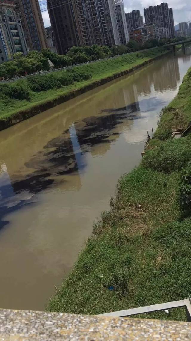 網友爆料 網友在大埔橋拍攝的奇景,淡水河髒的慘不忍睹,黑色,黃色,這