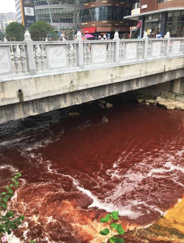 濂溪河图片