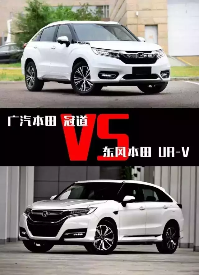 本田冠道