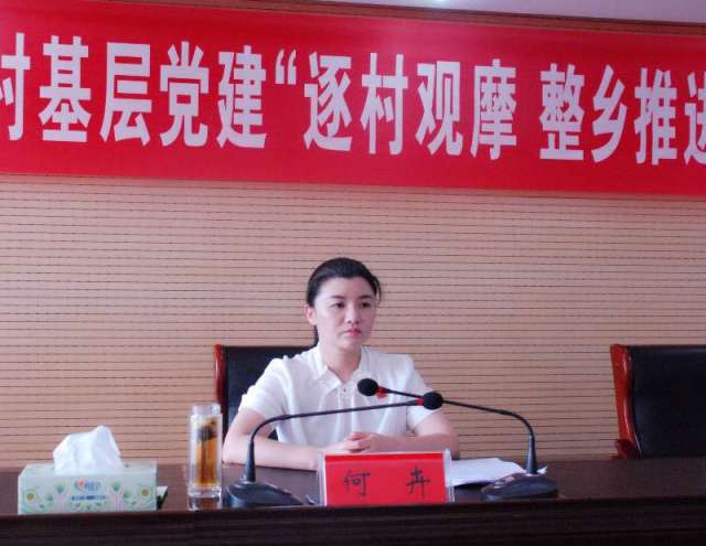何卉简历,郏县何卉_大山谷图库