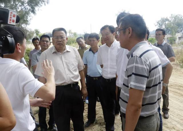 县领导现场调研,加快推进重点项目建设!