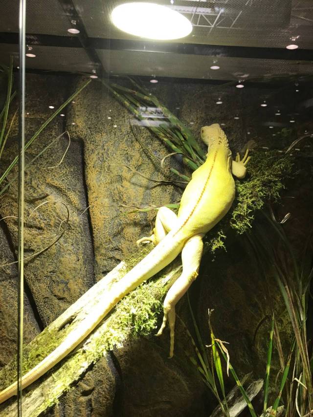 考眼力的时候到了!