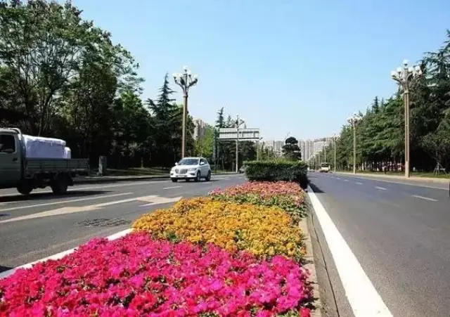 金牛区 迎宾大道