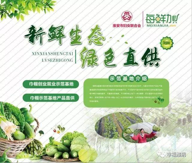 探寻现代农业新模式——磊式农场引领绿色革命